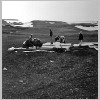 Skali04.jpg